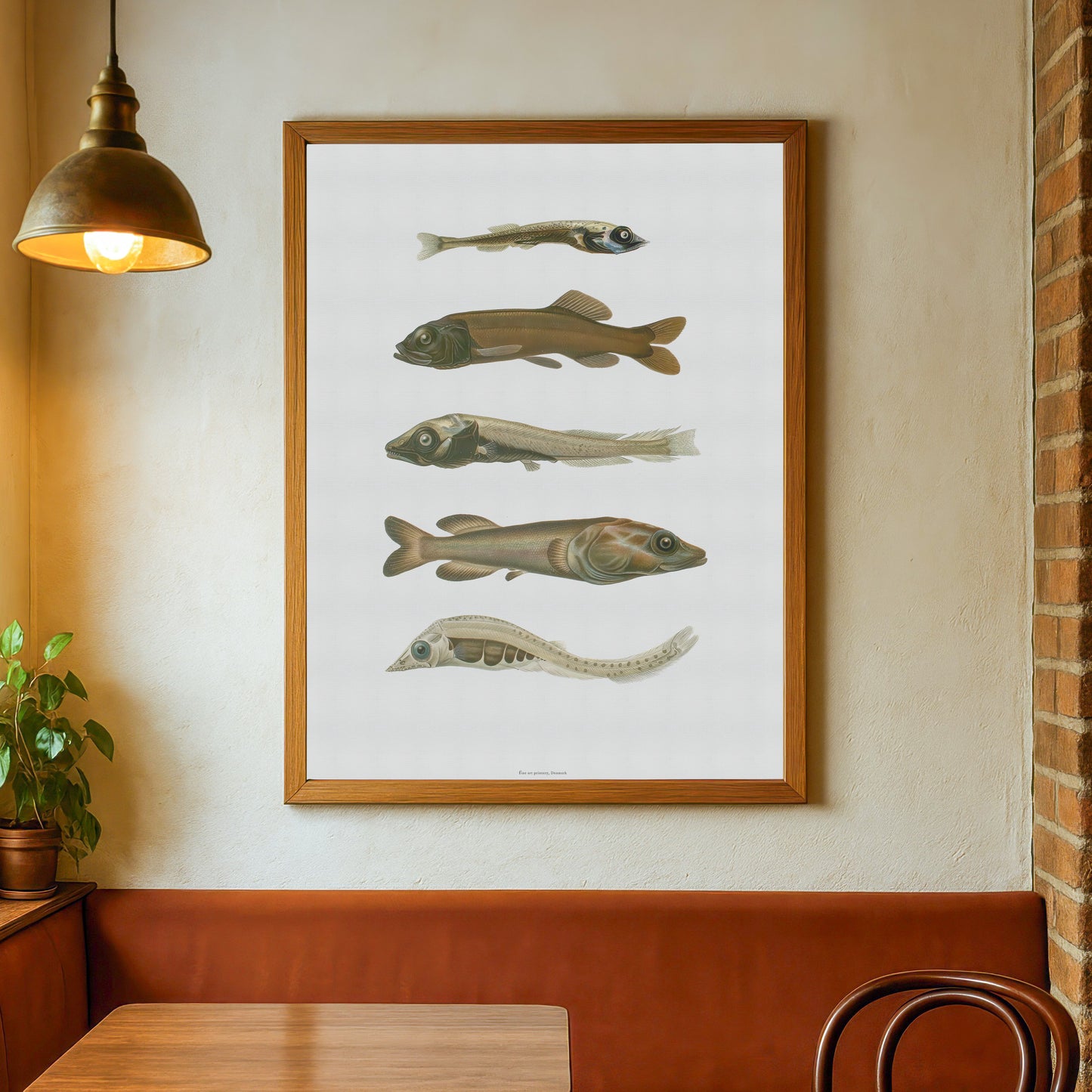 Vintage Deep-Sea Fish Poster - Smooth-Heads and Spookfish - Antique Marine Life Wall Art
