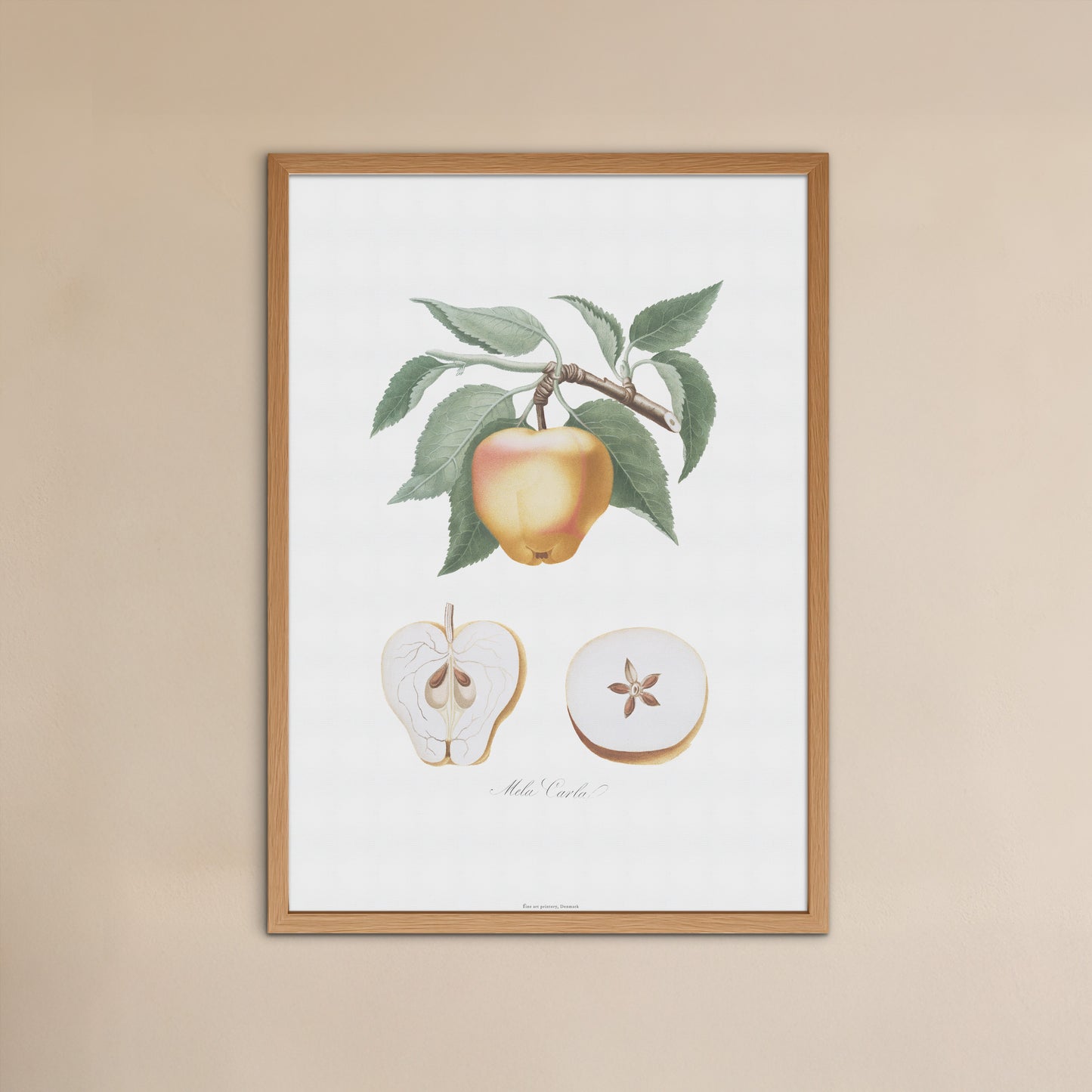 Vintage Apple Poster - Mela Carla Botanical Art Print by Gallesio