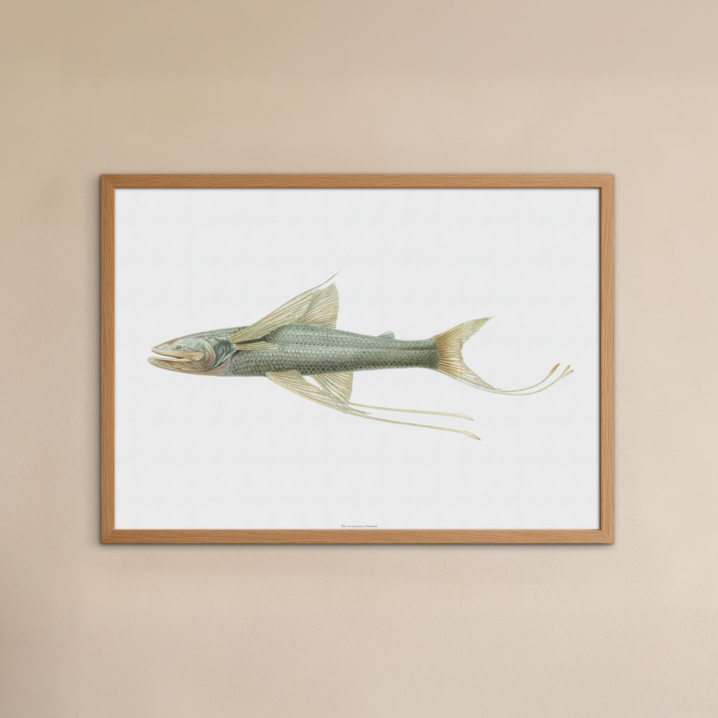 Vintage Tripod Fish Poster - Antique Deep-Sea Marine Art Print from 1919
