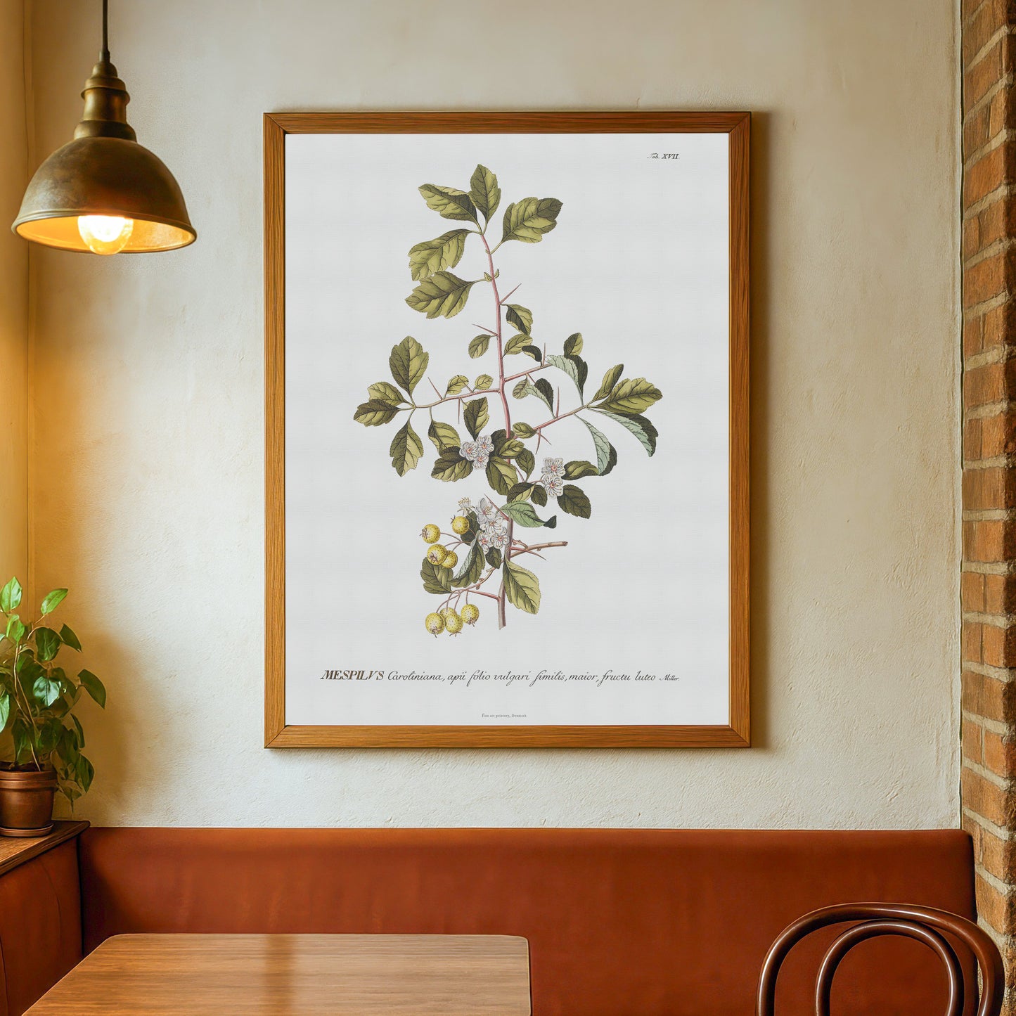 Vintage Yellow Hawthorn Botanical Print – 1751 Plantae Selectae Illustration