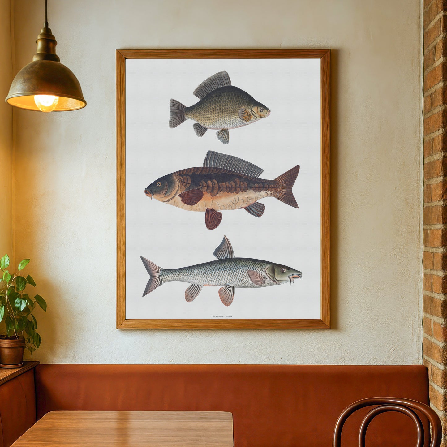 Vintage European Carp Species Poster | Crucian Carp, Common Carp & Barbel | Bloch 18th Century Fish Art