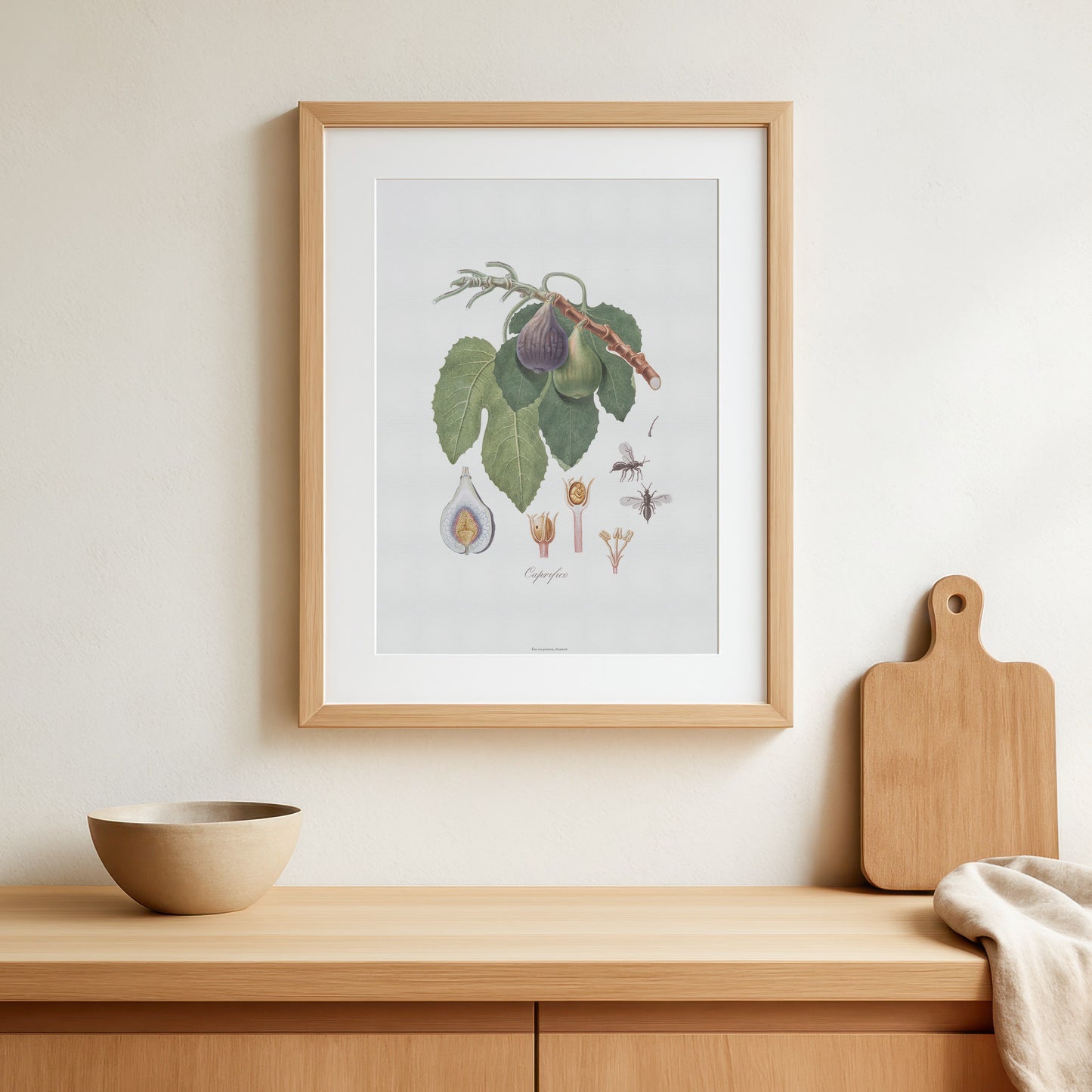 Vintage Caprifig & Fig Wasp Poster - Botanical Art Print by Gallesio