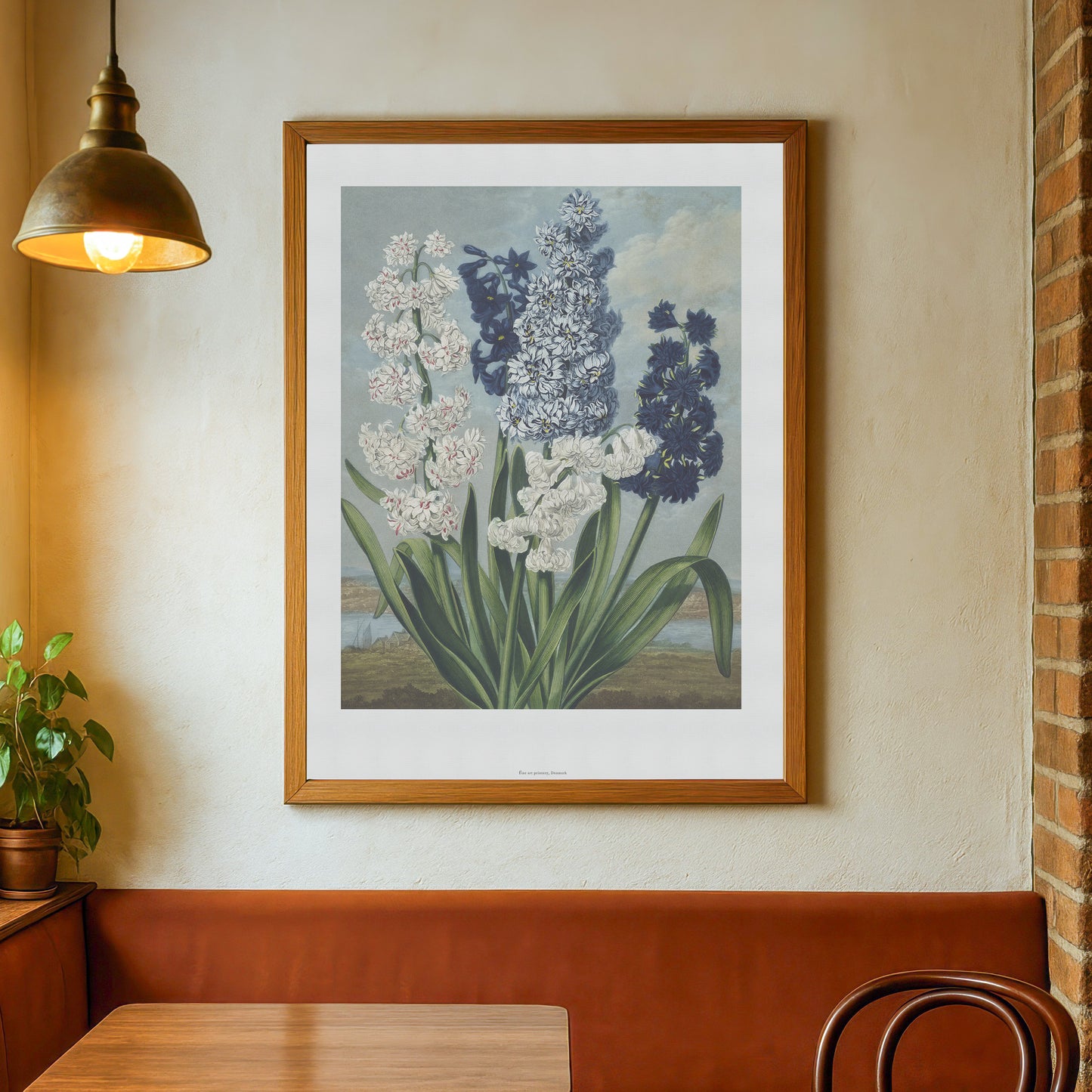 Vintage Hyacinth Flowers Poster - The Temple of Flora by Robert John Thornton - Botanical Art Print
