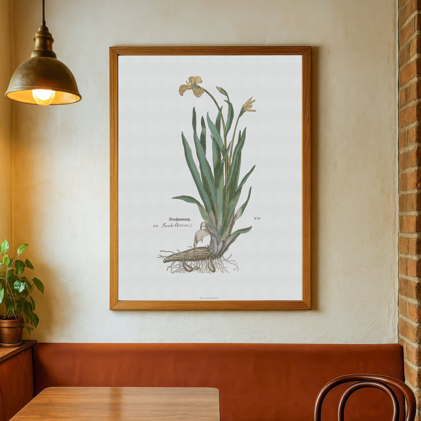 Yellow Iris Botanical Poster - Iris pseudacorus - Fuchs' New Kreüterbuch Print