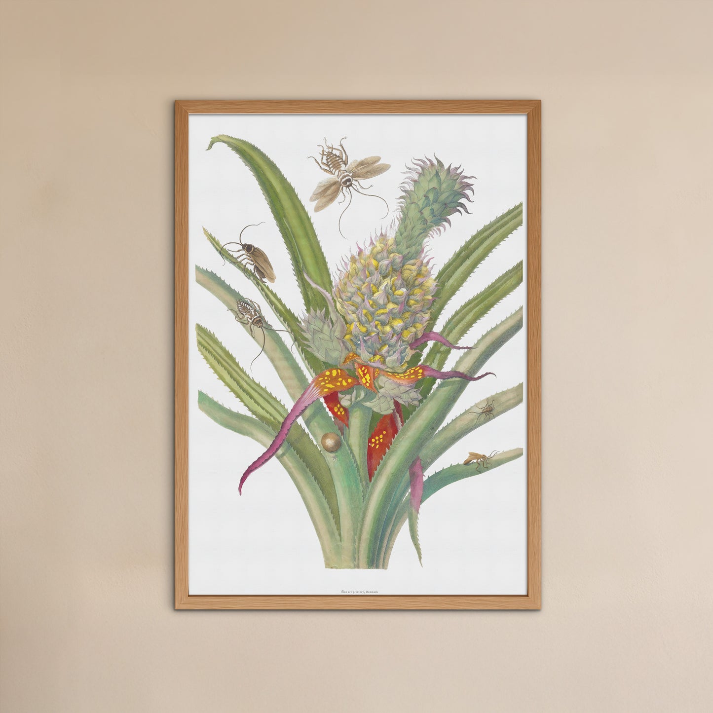 Vintage Pineapple & Cockroaches Poster - Maria Sibylla Merian Art