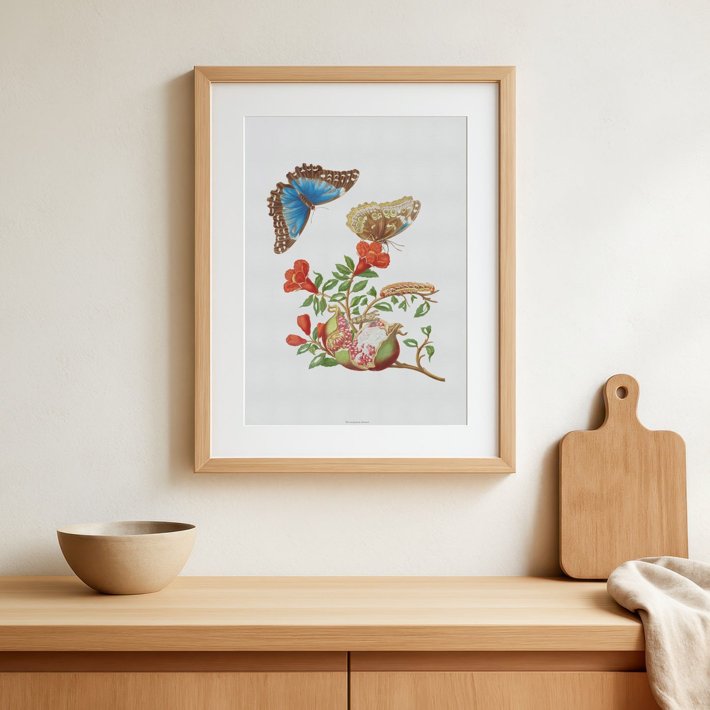 Vintage Pomegranate & Blue Morpho Butterfly Poster - Maria Sibylla Merian Art