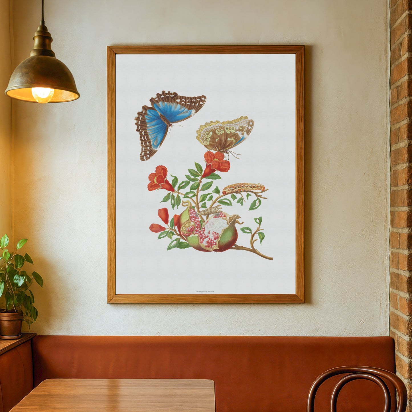 Vintage Pomegranate & Blue Morpho Butterfly Poster - Maria Sibylla Merian Art