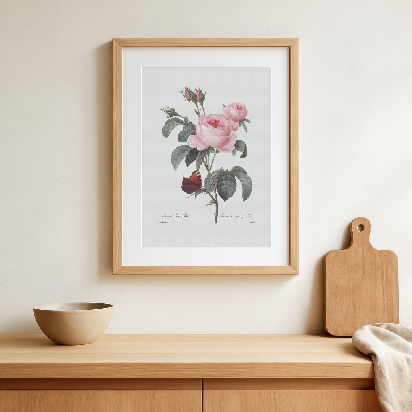Vintage Rosa Centifolia & Butterfly Poster - Pierre-Joseph Redouté Botanical Print