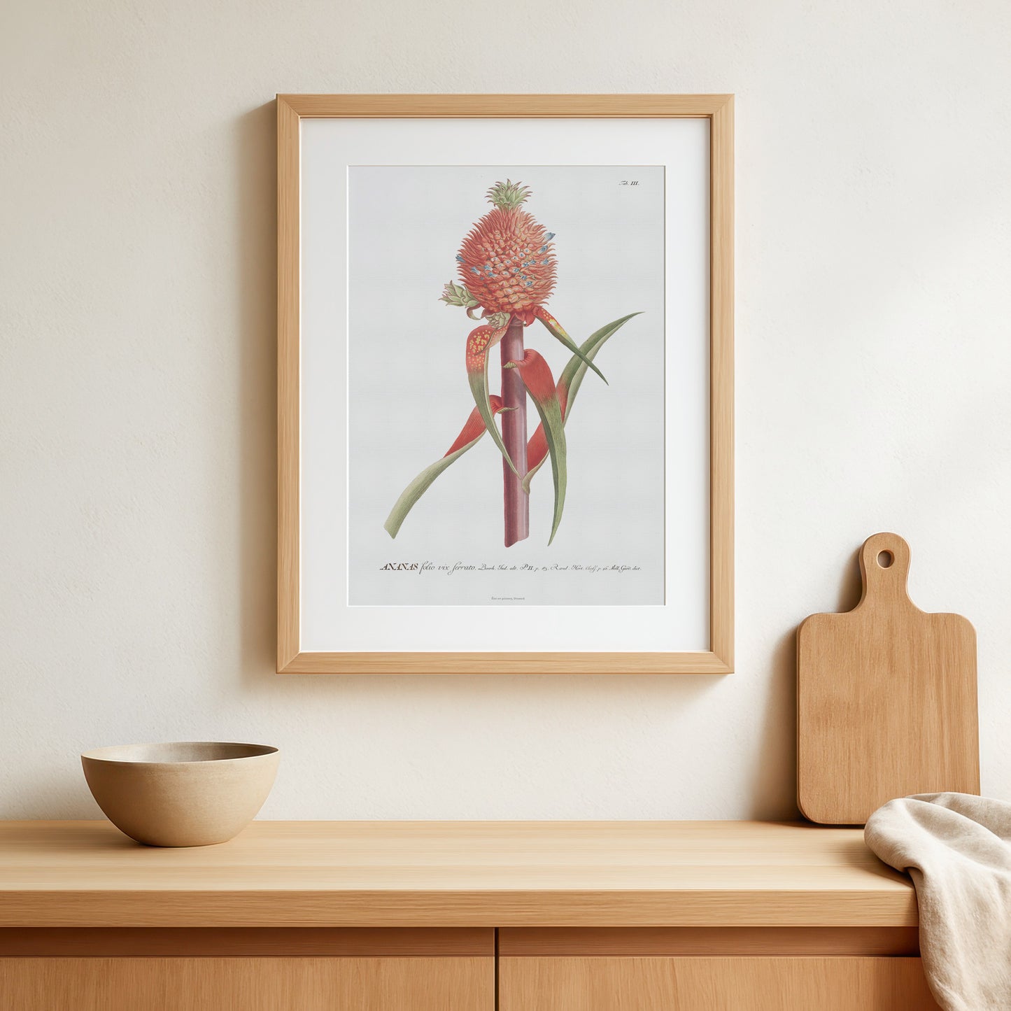 Vintage Red Pineapple Botanical Print – 1750 Plantae Selectae Illustration