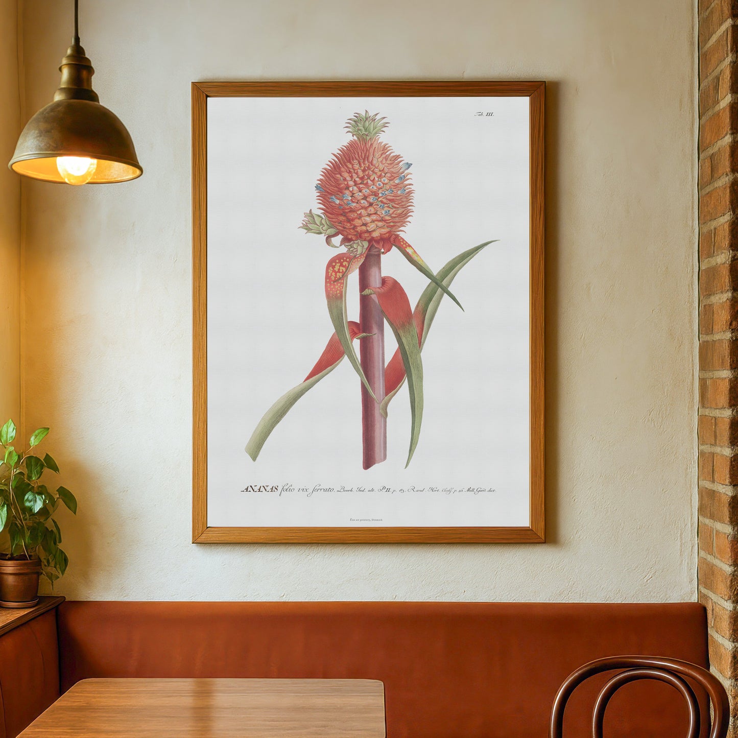 Vintage Red Pineapple Botanical Print – 1750 Plantae Selectae Illustration