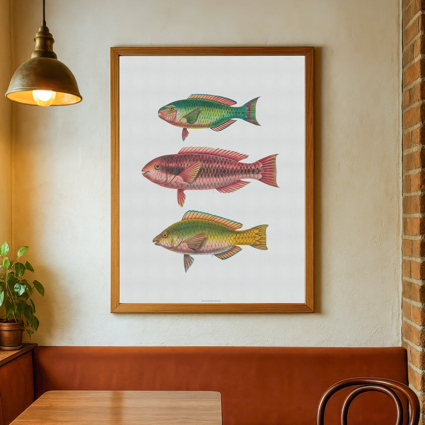 Vintage Parrotfish Print - Antique Tropical Marine Art Poster