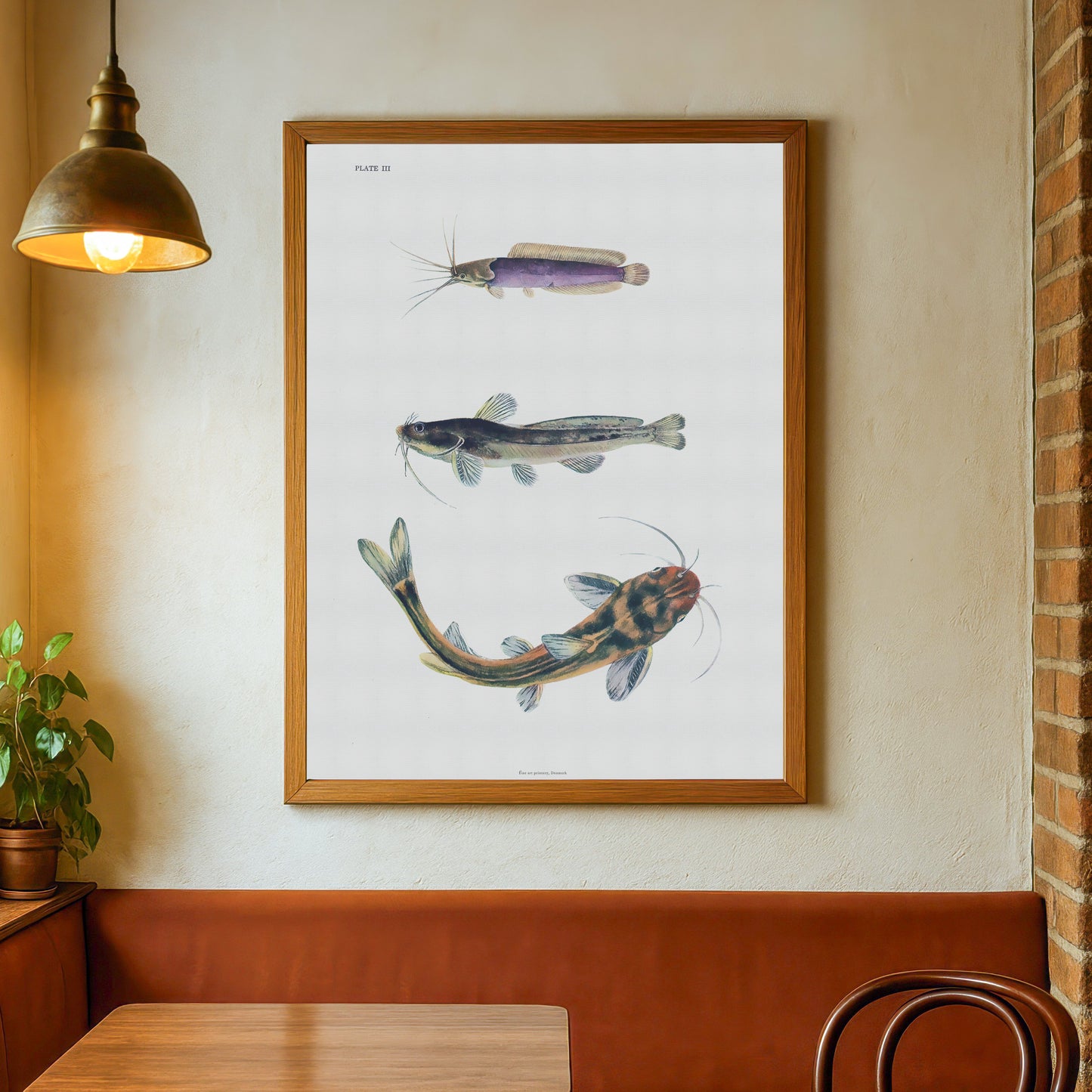 Vintage Catfish Print - Three Species from The Fresh-Water Fishes of China (1943)