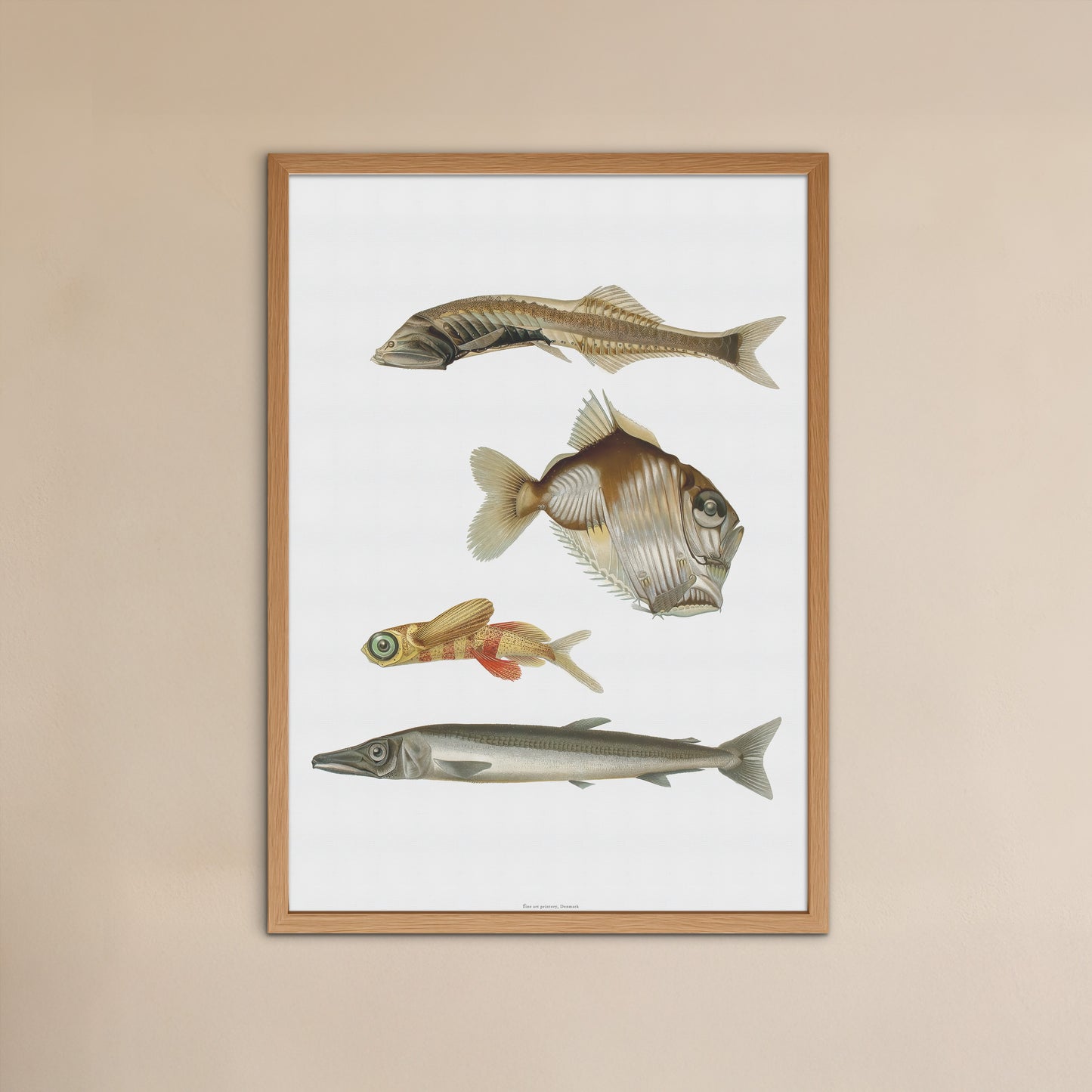 Vintage Deep-Sea Fish Poster - Curious Marine Life Art Print from 1911