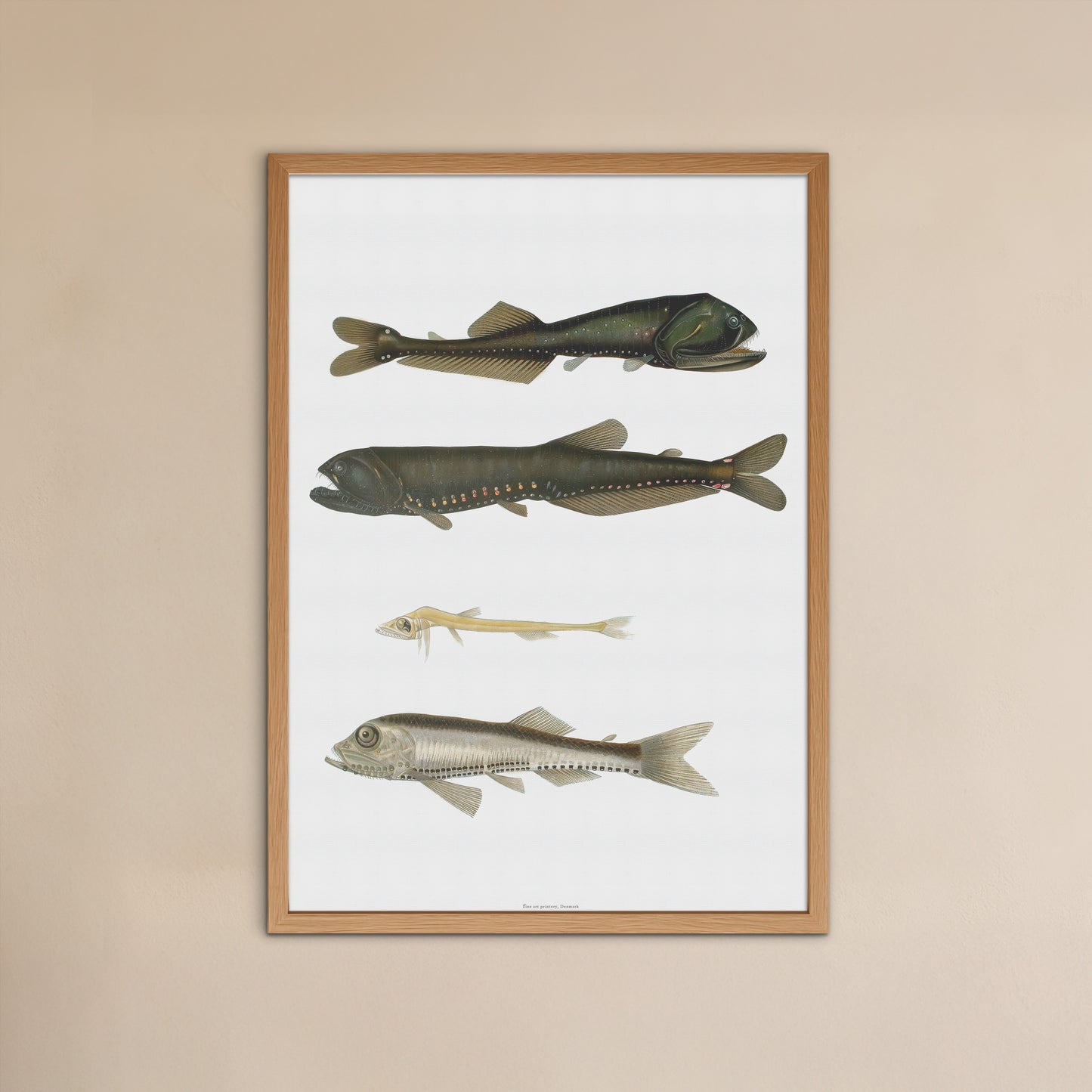 Vintage Luminous Fish Poster - Antique Deep-Sea Marine Art Print