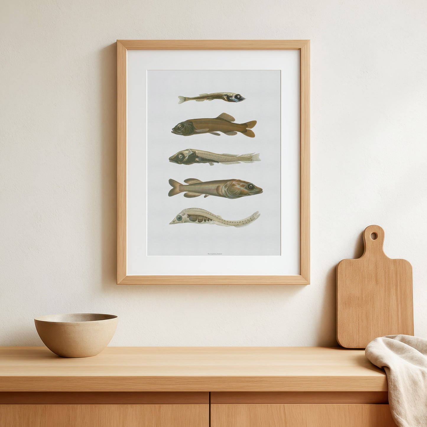 Vintage Deep-Sea Fish Poster - Smooth-Heads and Spookfish - Antique Marine Life Wall Art