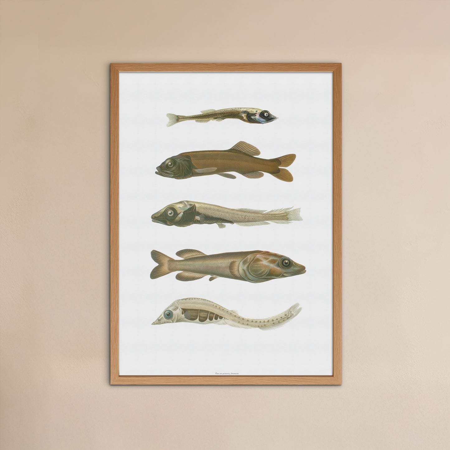 Vintage Deep-Sea Fish Poster - Smooth-Heads and Spookfish - Antique Marine Life Wall Art