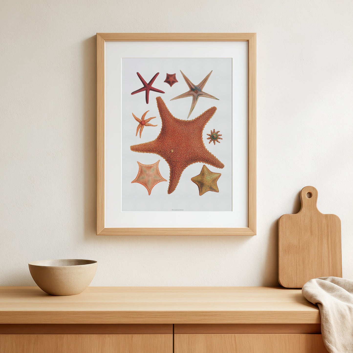 Historic Starfish Poster - A Timeless Piece for Marine & Decor Lovers