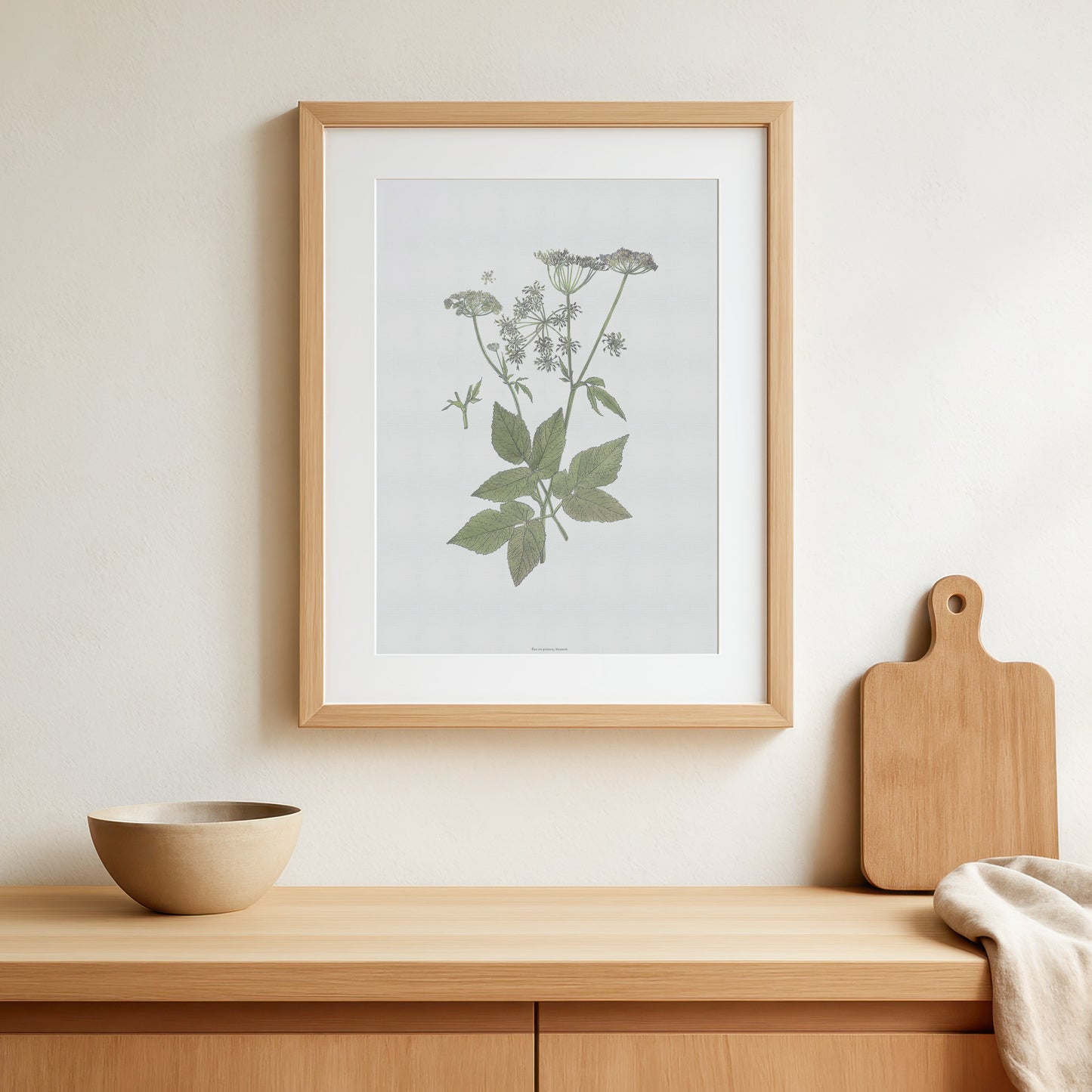Vintage Goutweed Botanical Print - Aegopodium podagraria by H. Kuipers