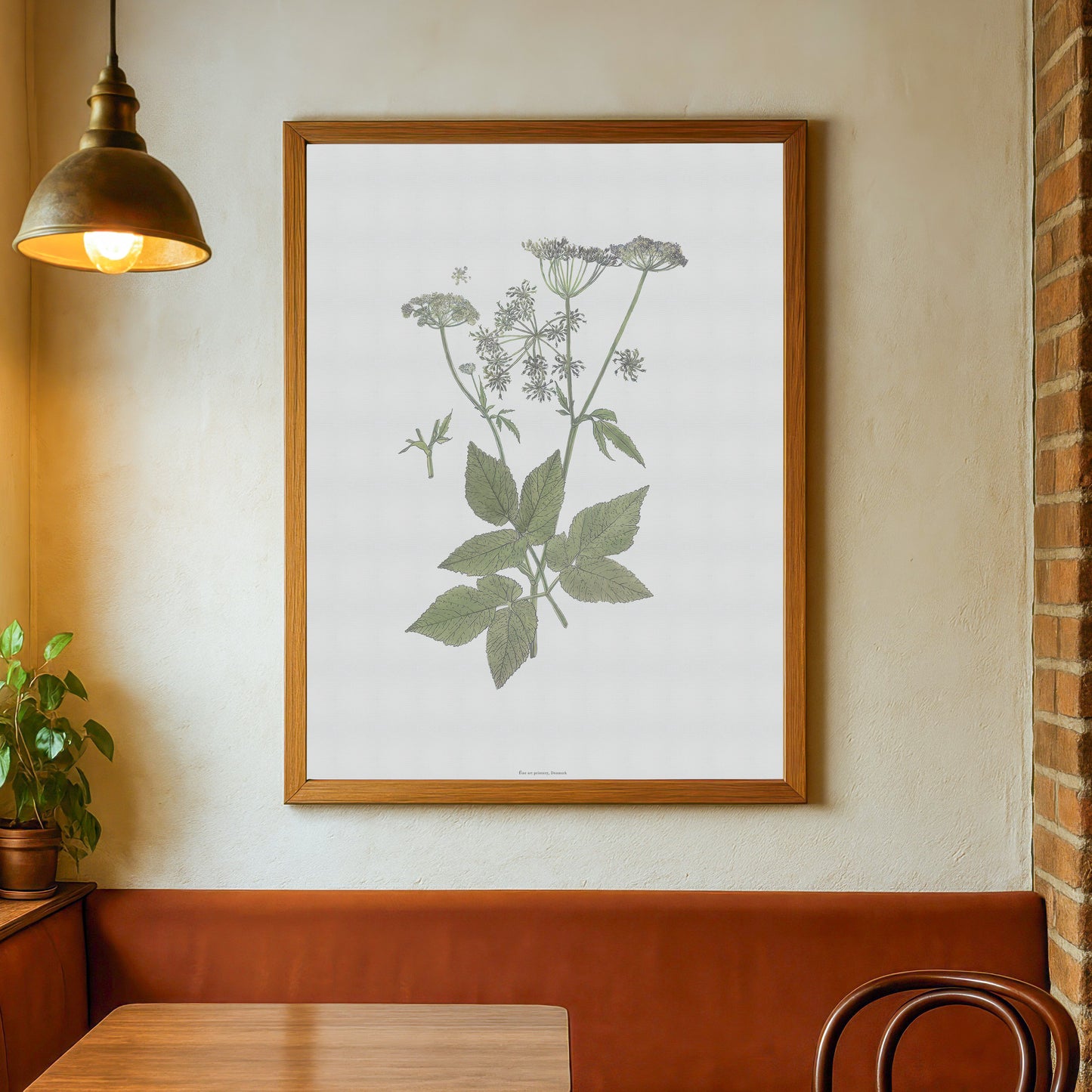 Vintage Goutweed Botanical Print - Aegopodium podagraria by H. Kuipers