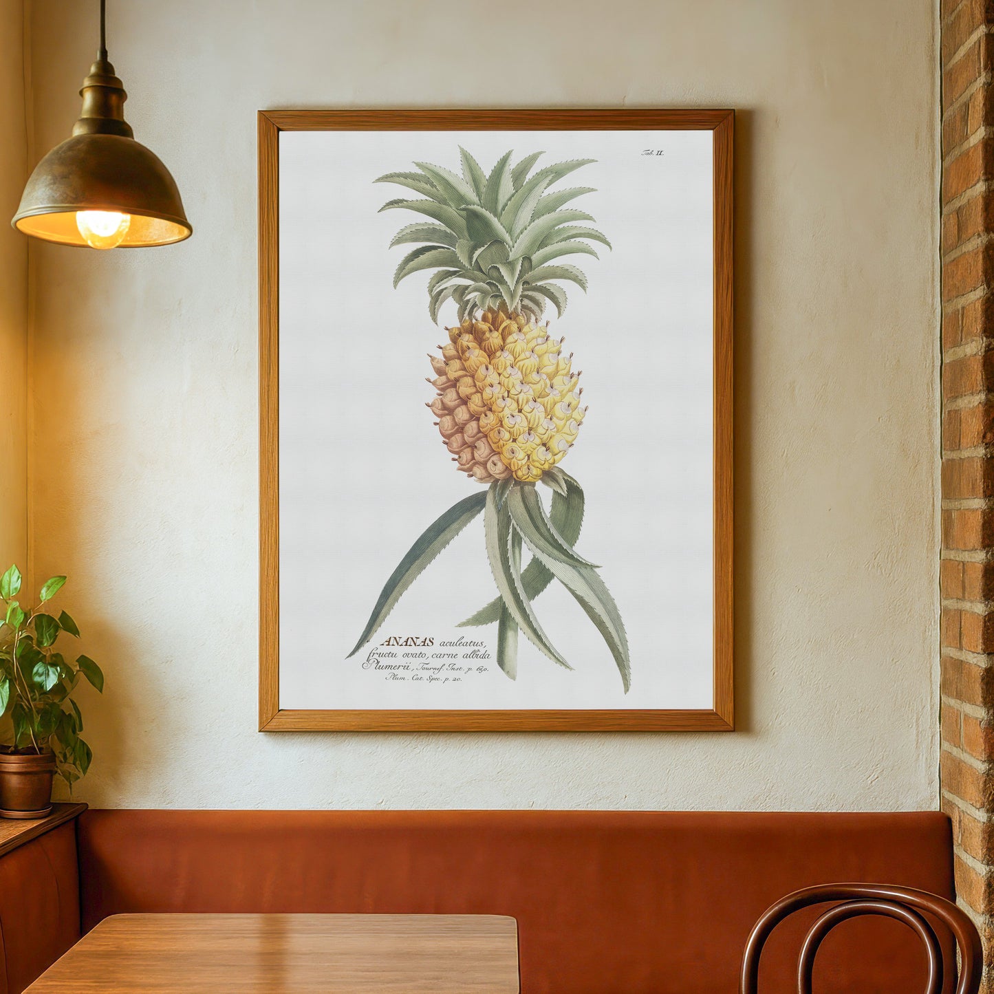 Vintage Pineapple Botanical Print – 1750 Plantae Selectae Illustration