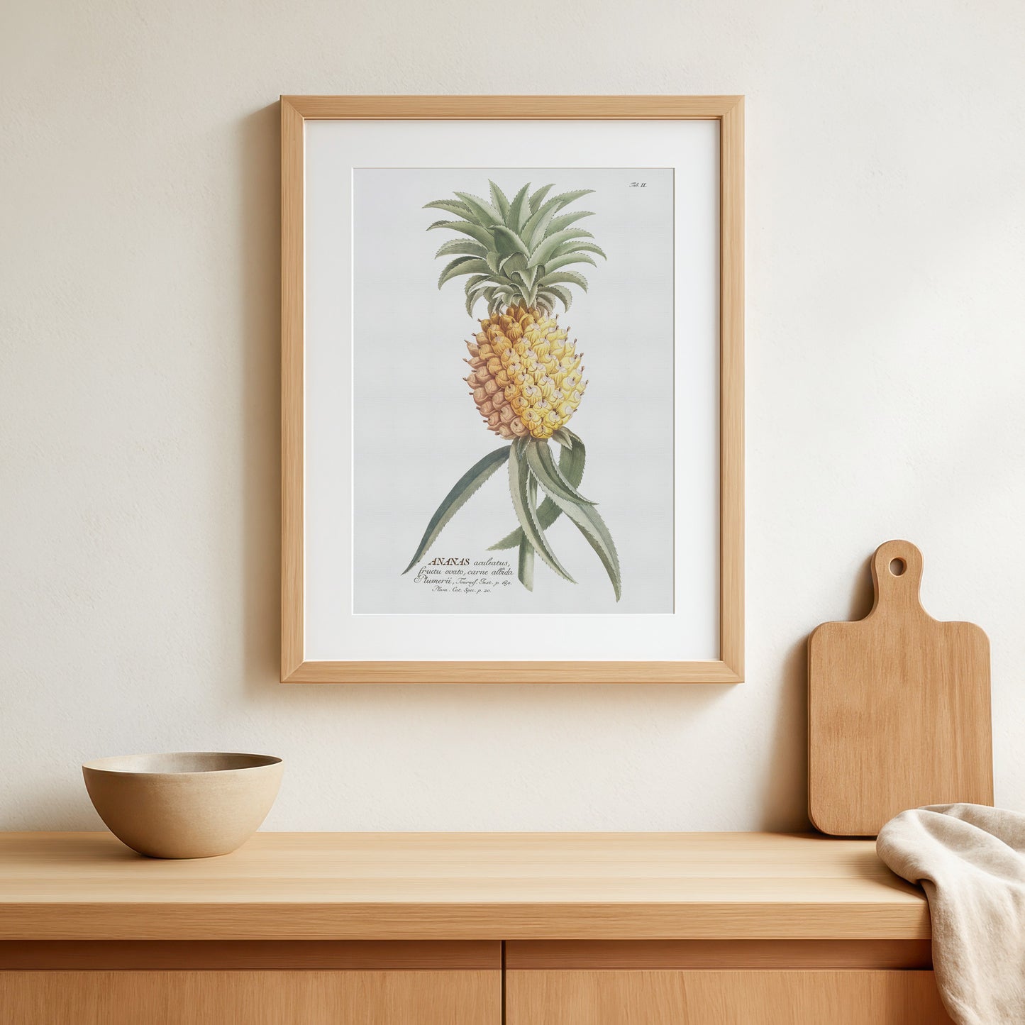 Vintage Pineapple Botanical Print – 1750 Plantae Selectae Illustration