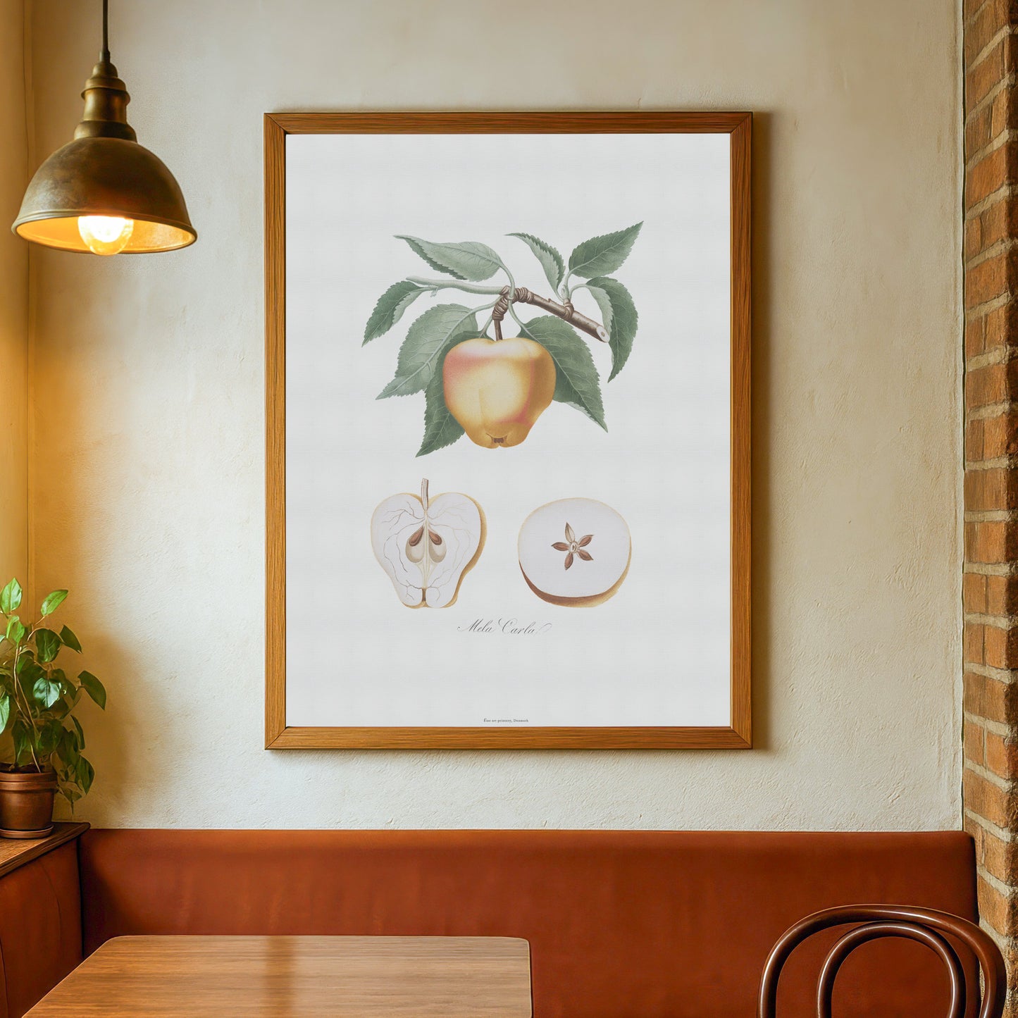 Vintage Apple Poster - Mela Carla Botanical Art Print by Gallesio