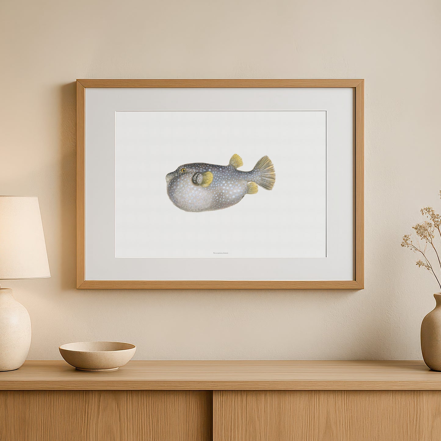 Vintage White-Spotted Pufferfish Print - Drawing of Arothron hispidus (1838)