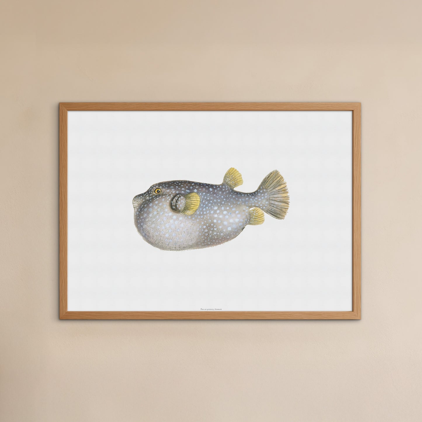 Vintage White-Spotted Pufferfish Print - Drawing of Arothron hispidus (1838)