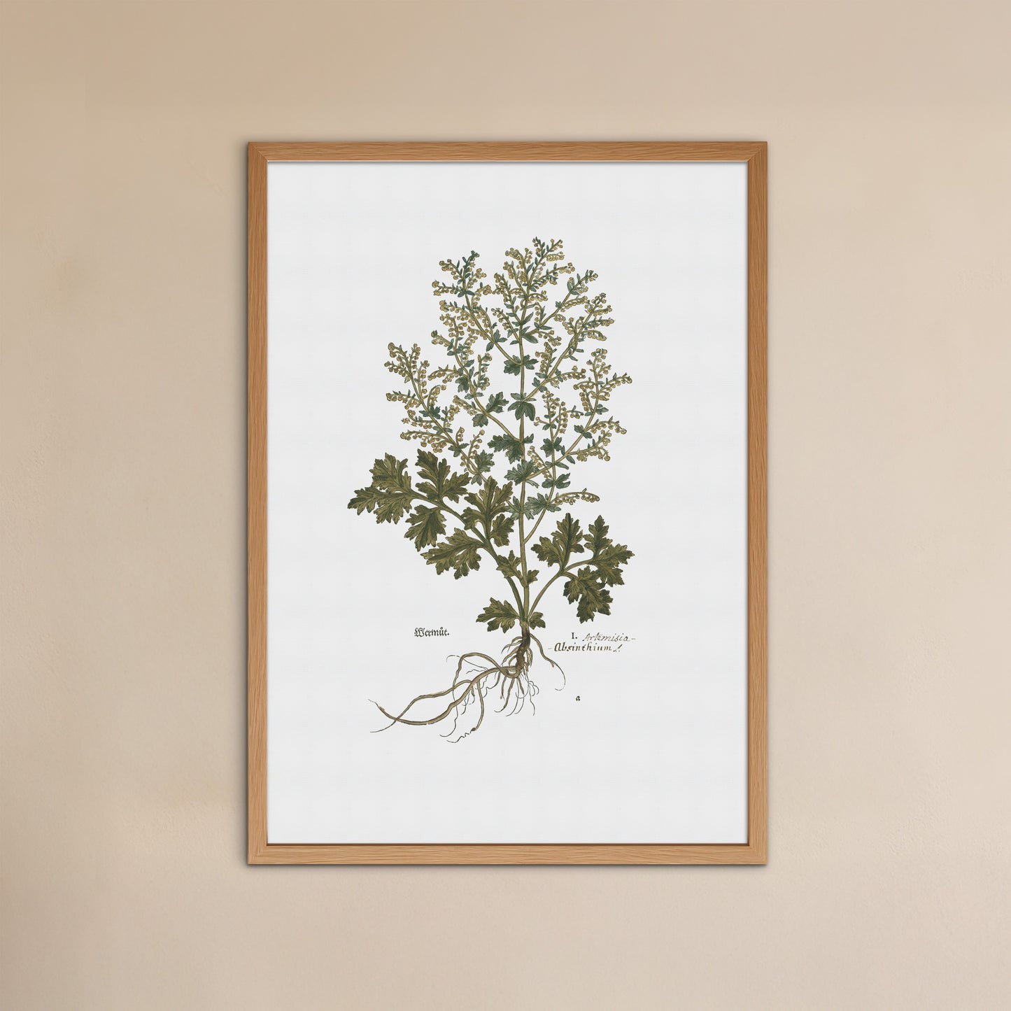 Artemisia Absinthium (Wormwood) – Botanical Poster from Fuchs' New Kreüterbuch (1543)
