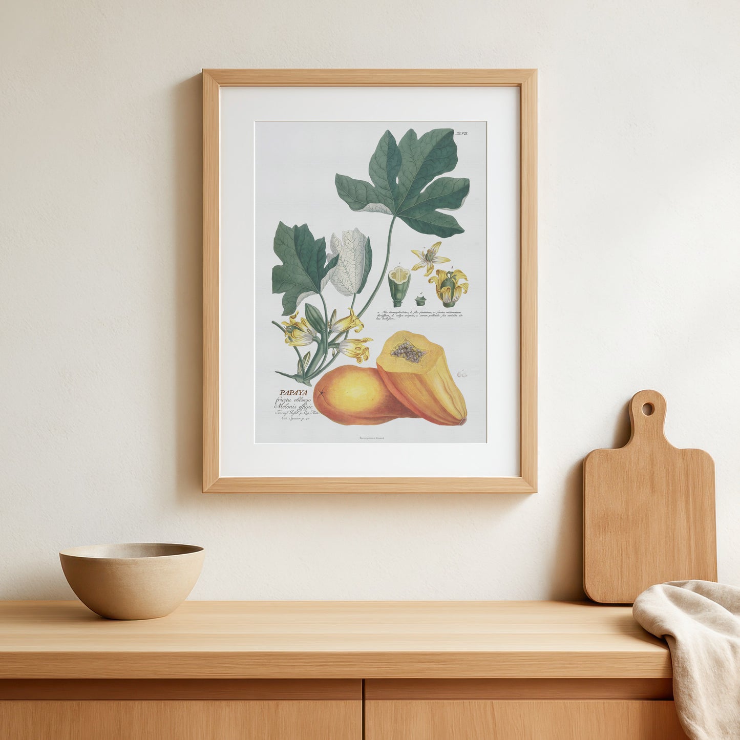 Vintage Papaya Botanical Print – 1750 Plantae Selectae Illustration