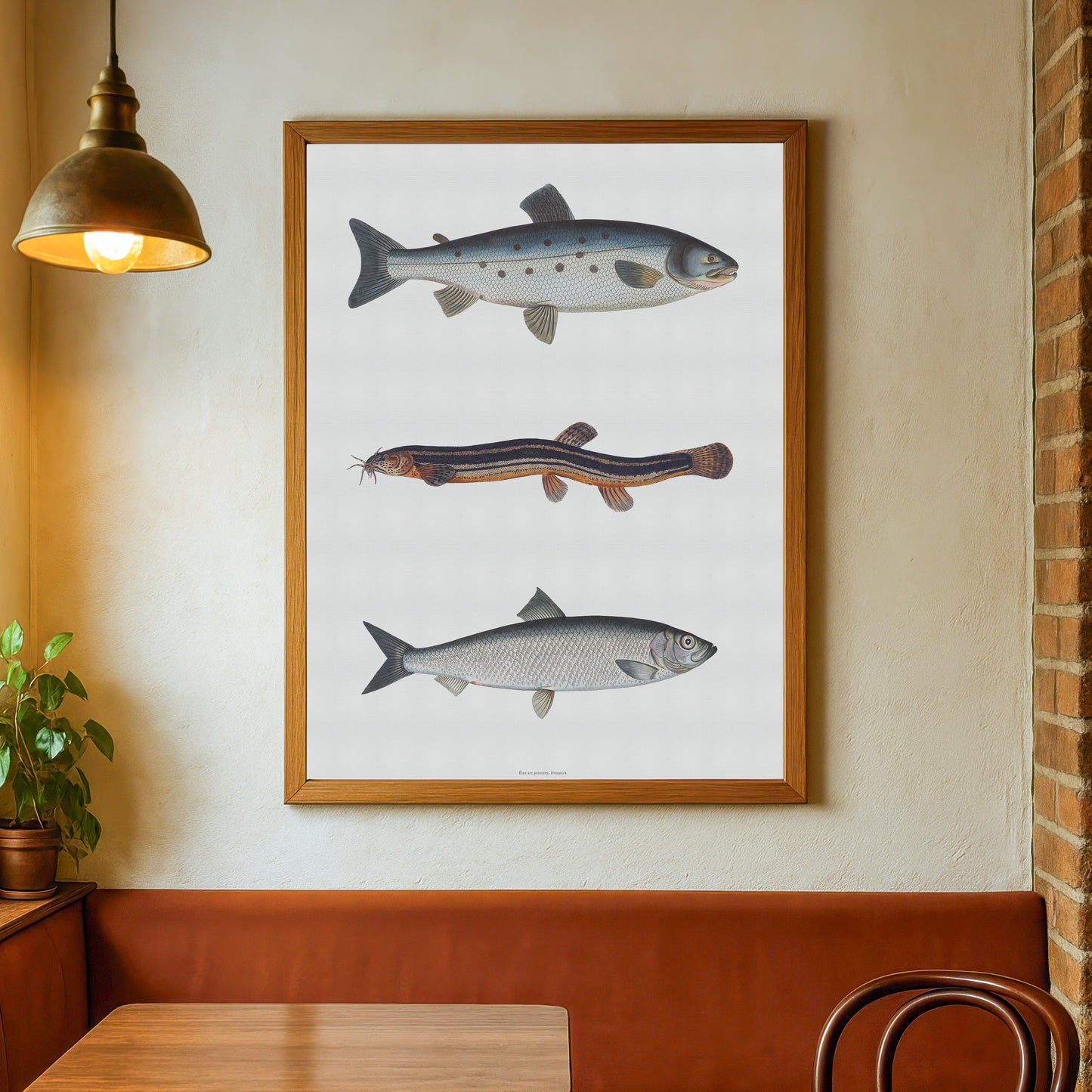 Vintage Fish Print Poster | Atlantic Salmon, Spined Loach, & Herring | Marcus Elieser Bloch c. 1782