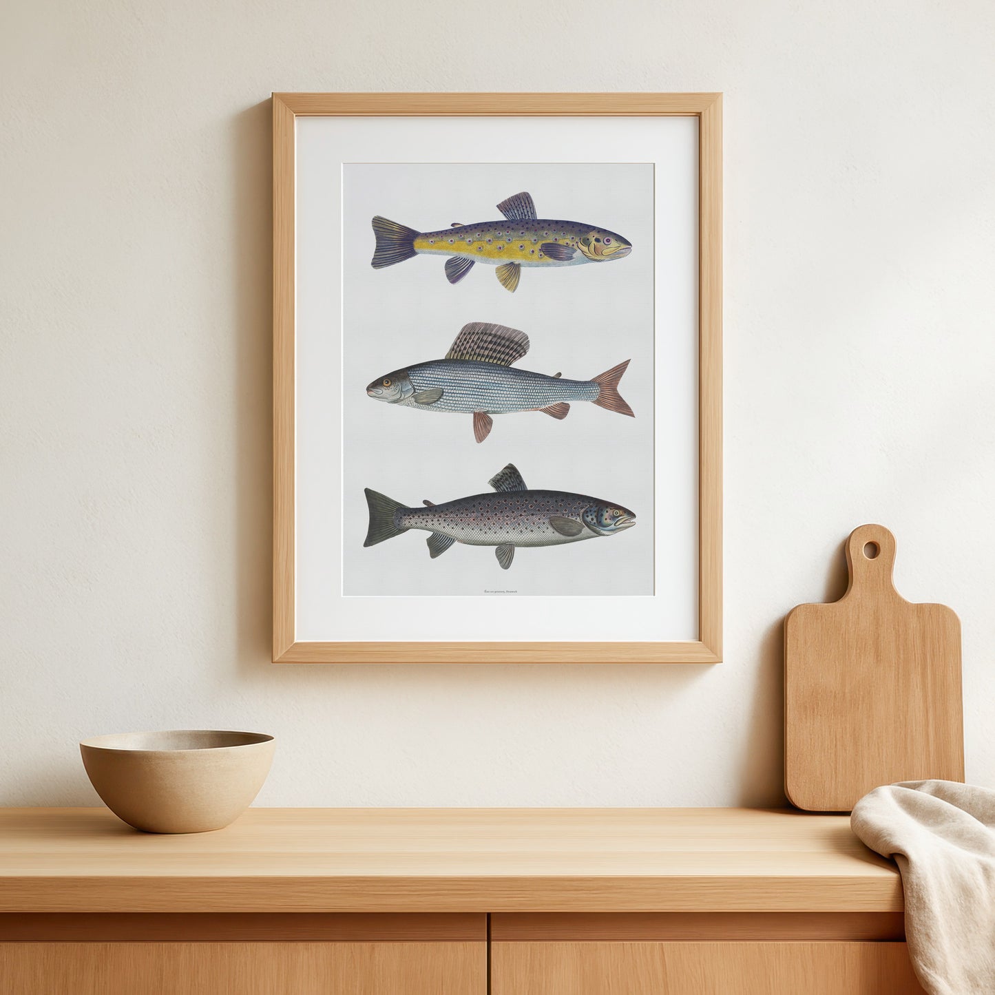 Vintage Fly Fishing Print | River Trout, Grayling & Brown Trout | Bloch 18th Century Salmonid Art