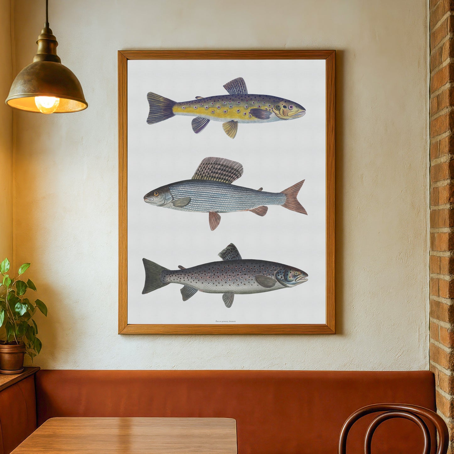 Vintage Fly Fishing Print | River Trout, Grayling & Brown Trout | Bloch 18th Century Salmonid Art