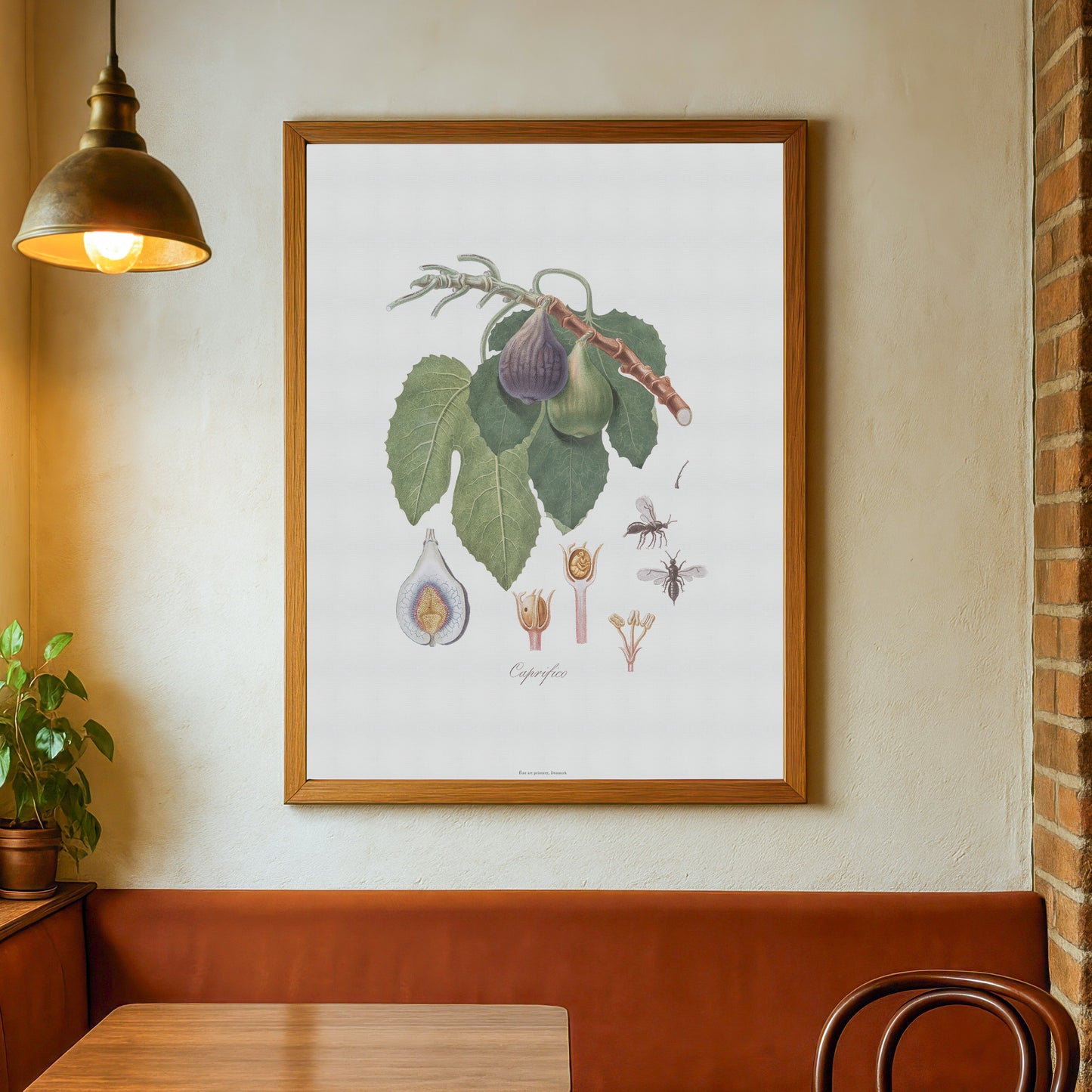 Vintage Caprifig & Fig Wasp Poster - Botanical Art Print by Gallesio
