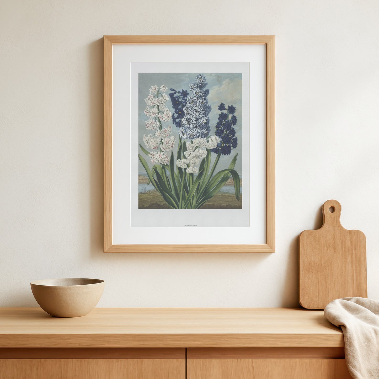 Vintage Hyacinth Flowers Poster - The Temple of Flora by Robert John Thornton - Botanical Art Print