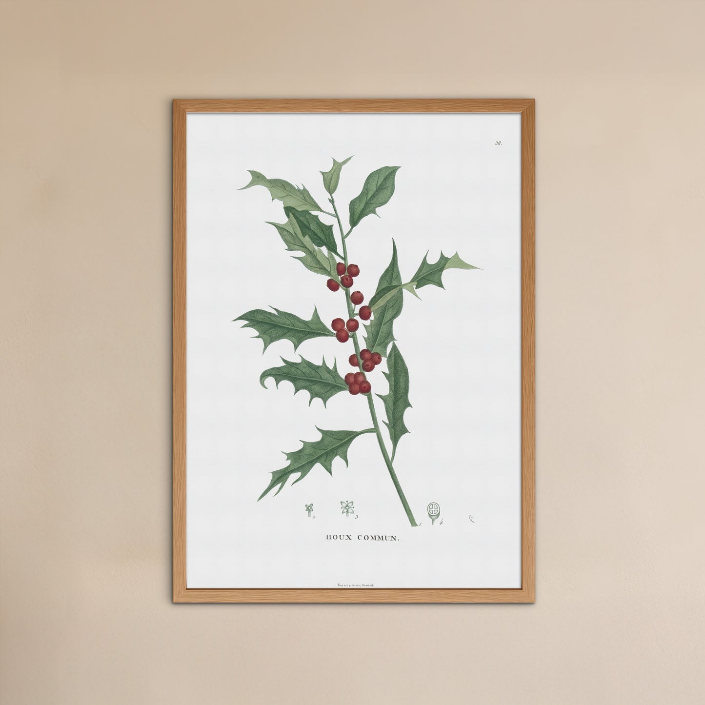 Vintage Holly Botanical Print - Ilex aquifolium from 1824 | Common Holly Poster