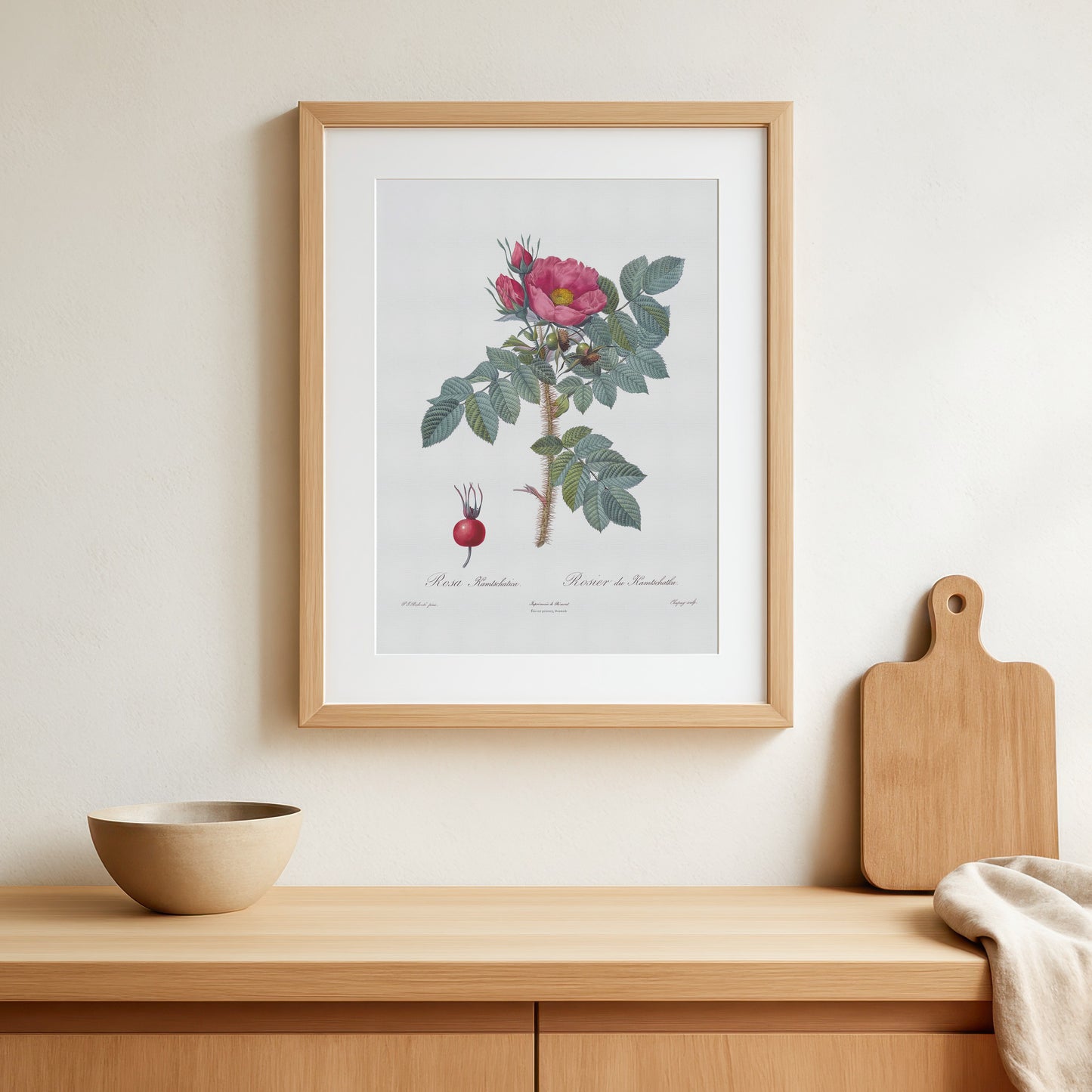 Vintage Kamtschatka Rose Poster - Pierre-Joseph Redouté Botanical Print (1817)