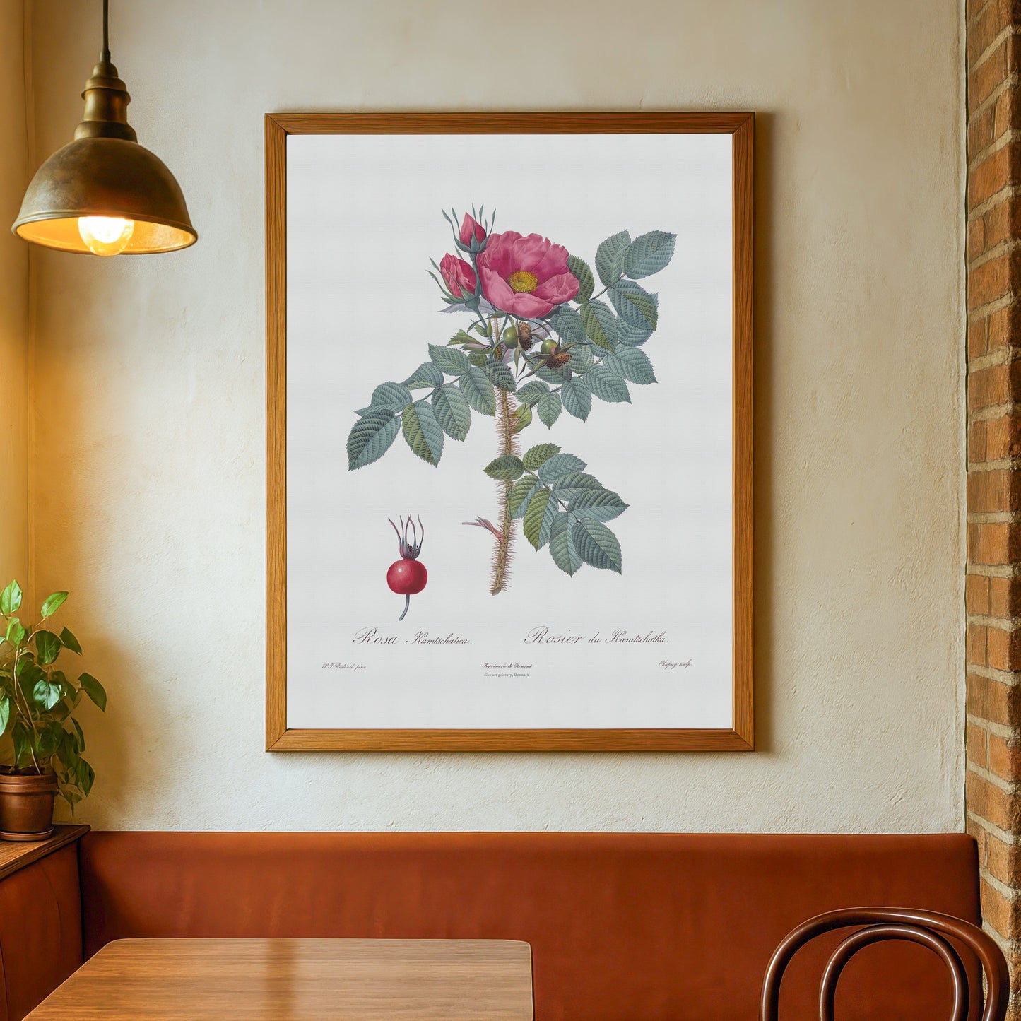 Vintage Kamtschatka Rose Poster - Pierre-Joseph Redouté Botanical Print (1817)