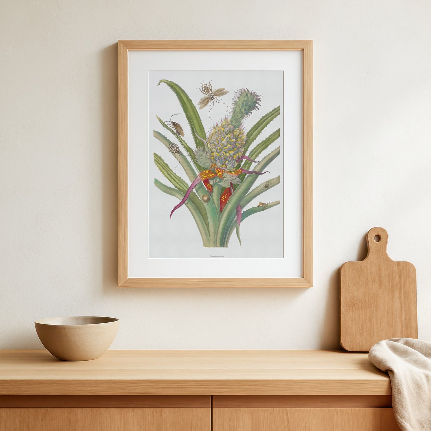 Vintage Pineapple & Cockroaches Poster - Maria Sibylla Merian Art