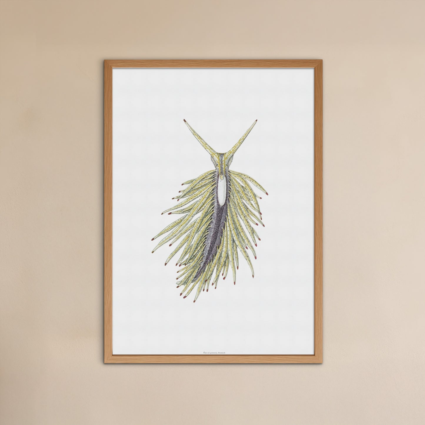 Vintage Sea Slug Print - Placida tardyi (Sacoglossan) from Genoa Collection (1877)