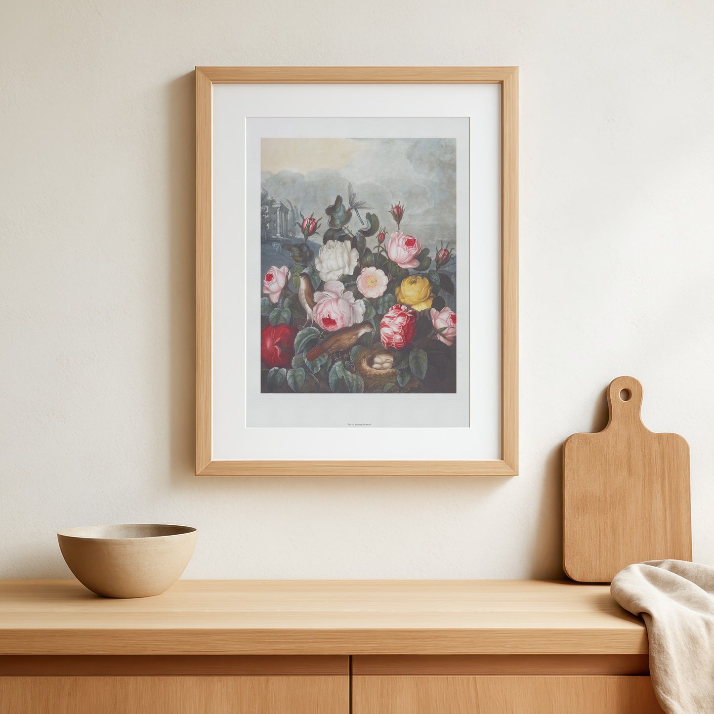 Roses from The Temple of Flora - Robert John Thornton (1807) - Archival Floral Print