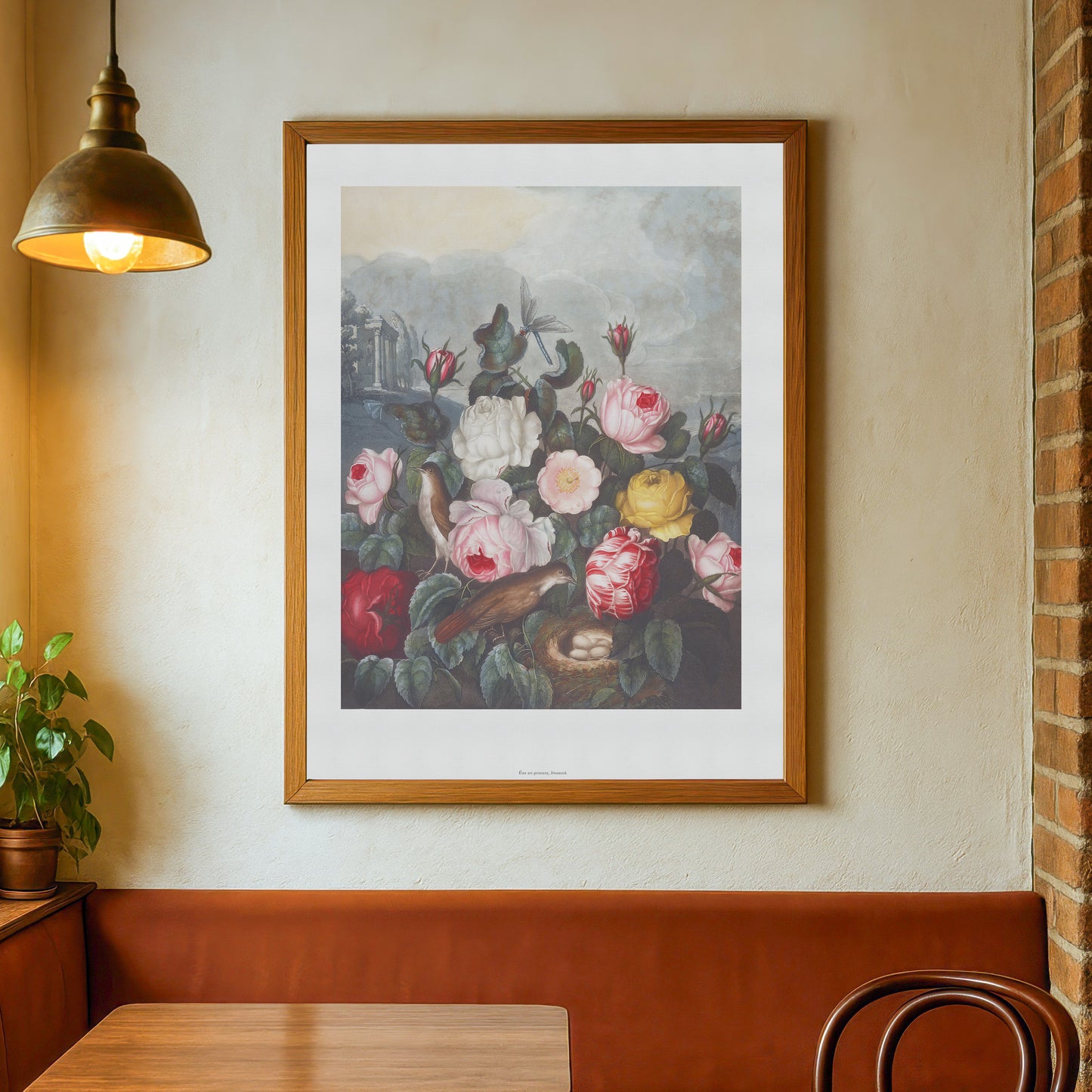 Roses from The Temple of Flora - Robert John Thornton (1807) - Archival Floral Print