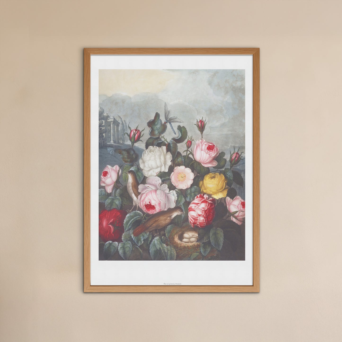 Roses from The Temple of Flora - Robert John Thornton (1807) - Archival Floral Print