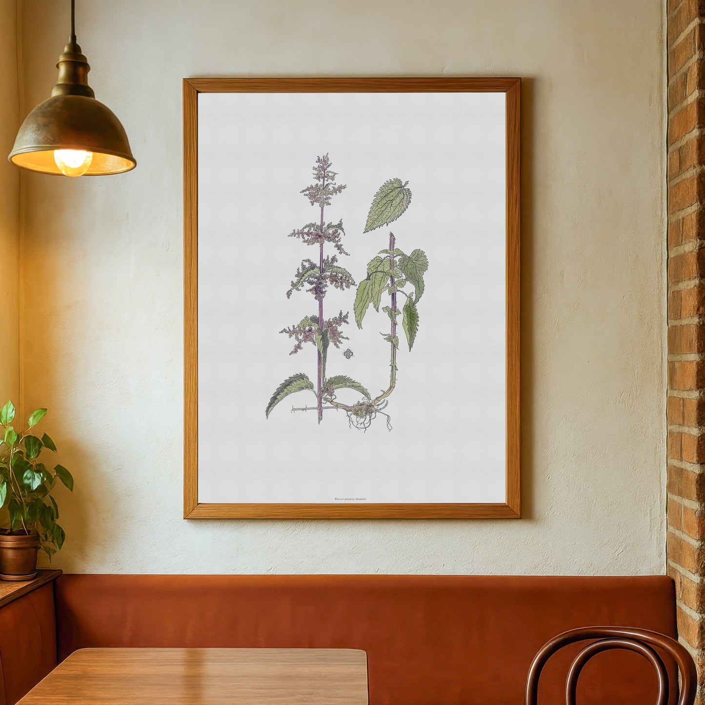 Vintage Common Nettle Botanical Print - Urtica dioica by H. Kuipers