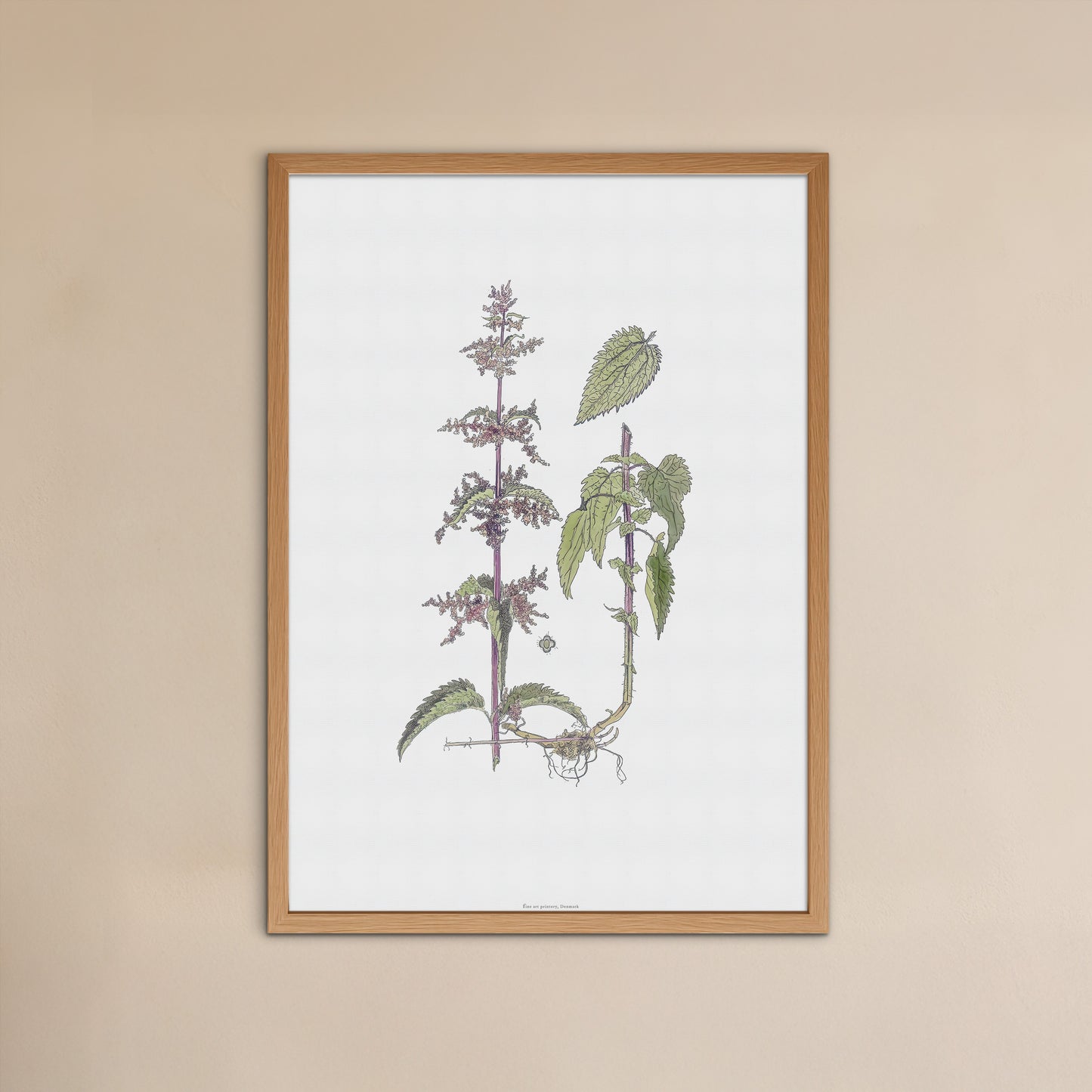 Vintage Common Nettle Botanical Print - Urtica dioica by H. Kuipers
