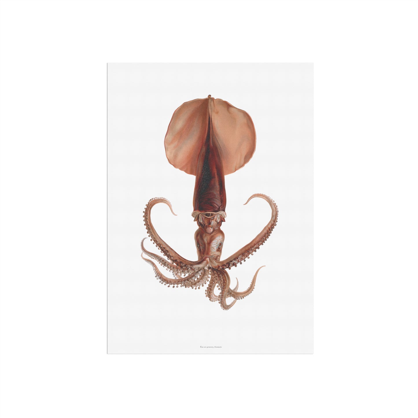 Vintage Whip-Lash Squid Poster - Antique Deep-Sea Marine Art Print 1920