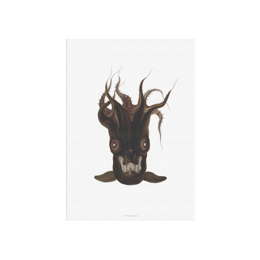 Vintage Vampire Squid Poster - Antique Deep-Sea Marine Art Print