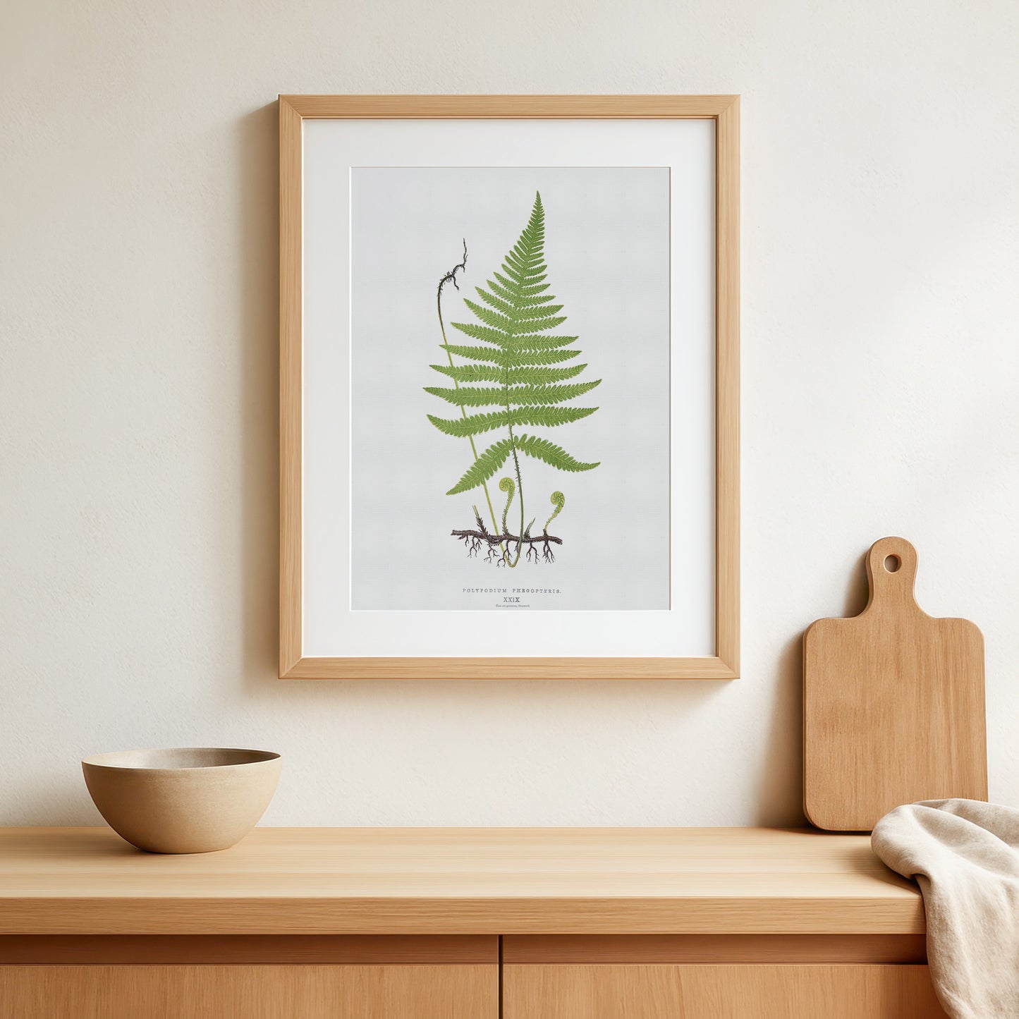 Vintage Fern Botanical Poster - Polypodium Phegopteris - 1859 Nature Art Print