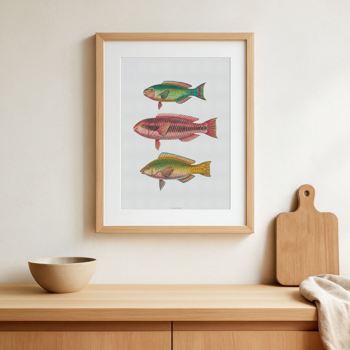 Vintage Parrotfish Print - Antique Tropical Marine Art Poster