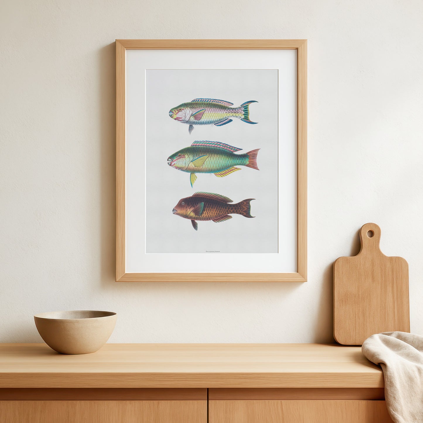 Vintage Parrotfish Print - Scarus, Chlorurus, Bolbometopon - Tropical Fish Art